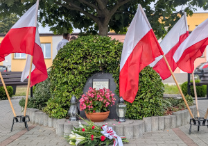 Zdjęcie 11 na 27